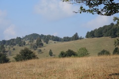 DSCN2323