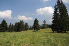 DSCN2328