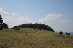 DSCN2331