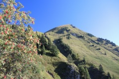 DSCN1111