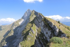DSCN1142
