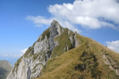 DSCN1145