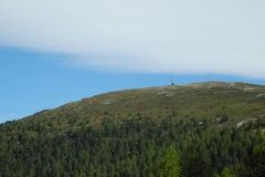 DSCN1341