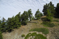 DSCN1346