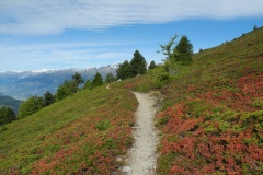 DSCN1354