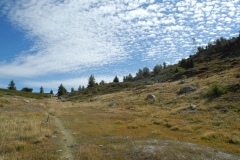 DSCN1359