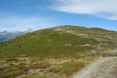 DSCN1374