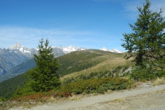 DSCN1381