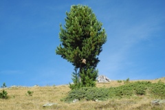 DSCN1390