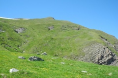 DSCN2602
