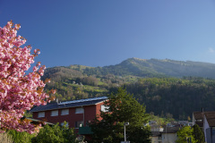 DSC02595