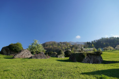 DSC02598