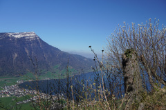 DSC02611