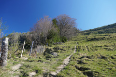 DSC02612