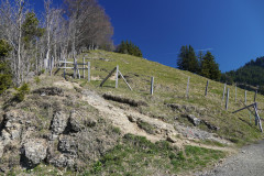 DSC02631