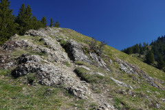 DSC02633