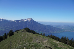 DSC02642