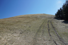 DSC02646