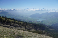 DSC02652