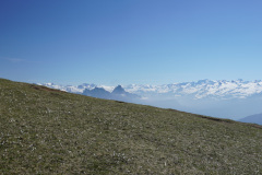 DSC02660