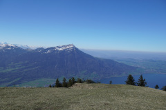 DSC02664