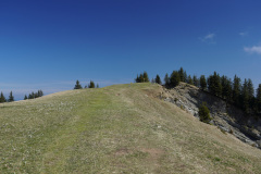 DSC02674