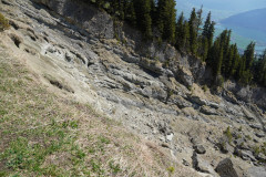 DSC02689