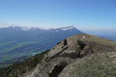 DSC02690