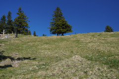 DSC02697