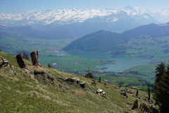 DSC02701