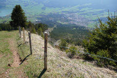 DSC02708