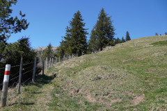 DSC02710
