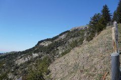 DSC02712