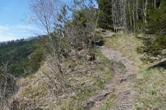 DSC02715
