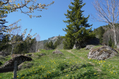 DSC02718