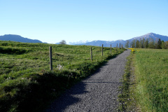 DSC00709