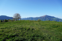 DSC00715
