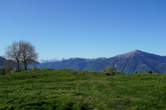 DSC00716