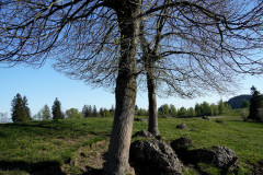 DSC00718
