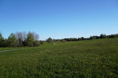 DSC00732
