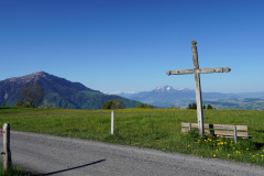 DSC00735
