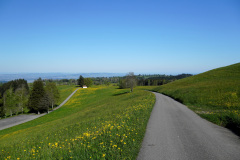 DSC00752