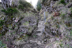 DSC00767