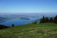 DSC00781