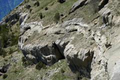 DSC00793