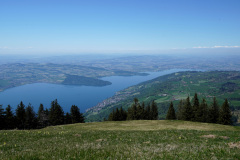 DSC00807
