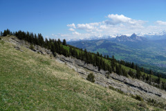DSC00819