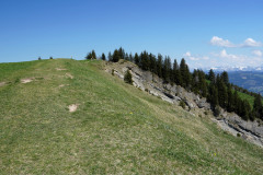 DSC00820