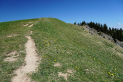 DSC00824