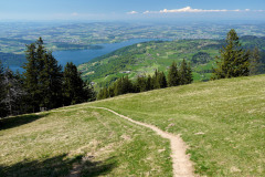 DSC00830